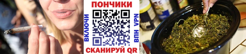 Бошки марихуана планчик  Купить где  Пролетарск 